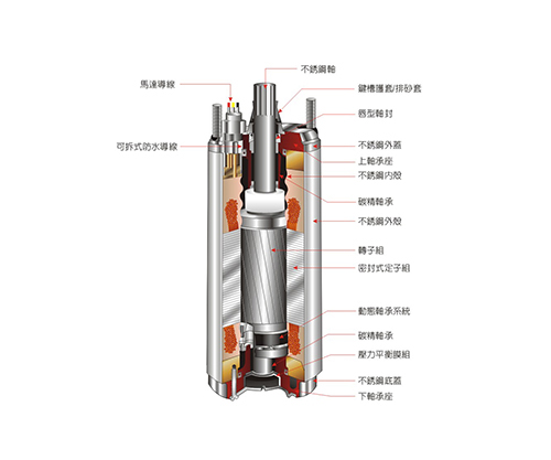 Canned Type Submersible Motor Sectional View