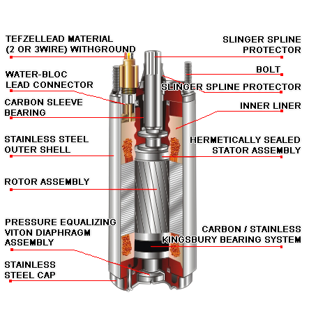 Canned Type Submersible Motor Sectional View